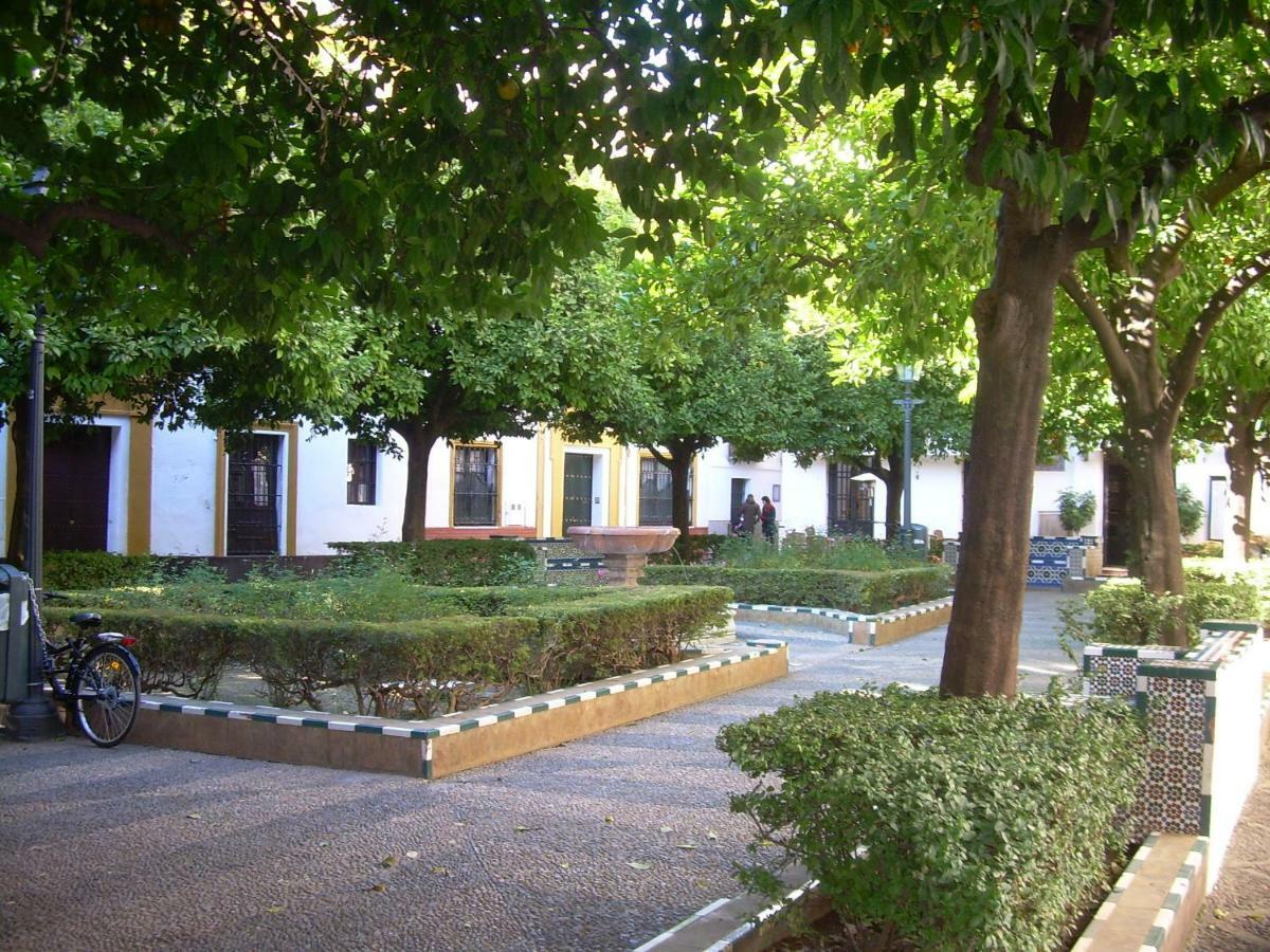 Ferienwohnung Botanic Duplex Terrace 5 Pax Sevilla Exterior foto